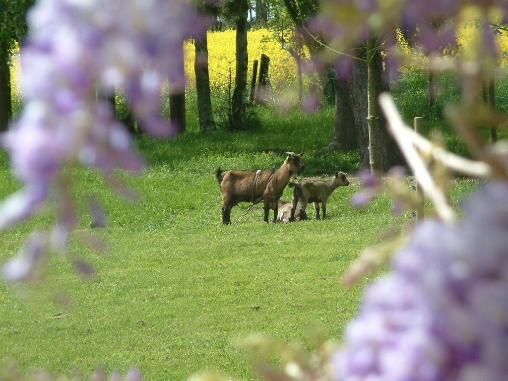 Bed and Breakfast Maison Prairie Bonheur Magny-les-Hameaux Zimmer foto